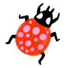 coccinelle