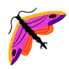 papillon-rose